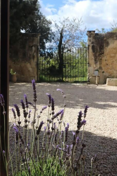 Bastide Juliana Villa Saint-Paul-Trois-Châteaux Eksteriør bilde